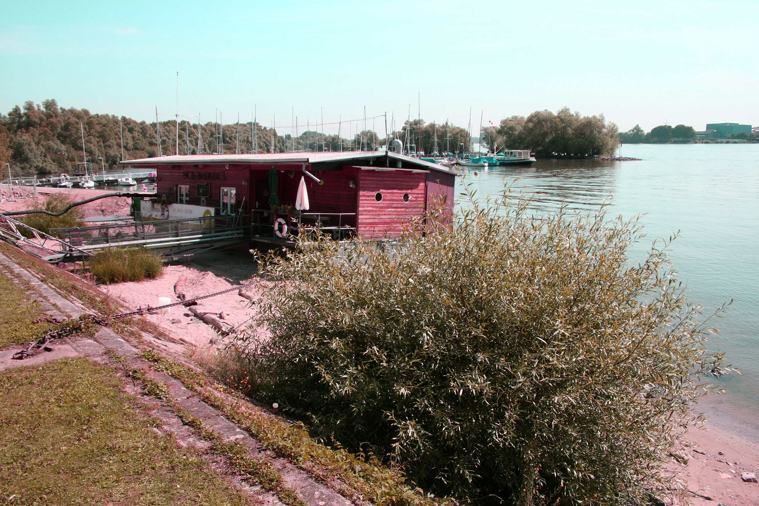 Die Eventlocation im Rheingau ist das Hausboot Schwabbel.